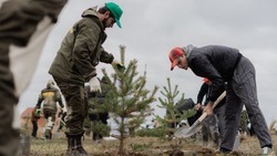 Всероссийская акция «Сохраним лес» стартовала в Белгородской области