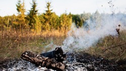 Власти введут особый противопожарный режим на территории Белгородской области