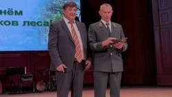 Лучшие специалисты лесной отрасли Корочанского района получили почётные награды