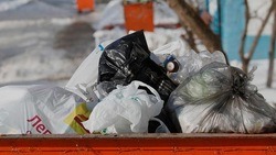Белгородский Минтранс не планирует возвращать контейнеры для мусора на дороги