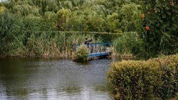 Белгородские власти очистят 51 водоём региона в рамках проекта «Наши реки»