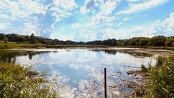 Очистка пруда началась селе Мальцевка Корочанского района