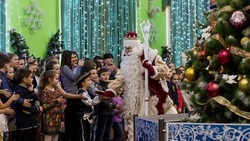 Новогодние праздники для детей с ограниченными возможностями здоровья пройдут в Белгороде 