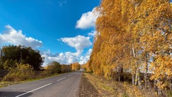 42 км дорог местного значения отремонтировали в Корочанском районе за пять лет