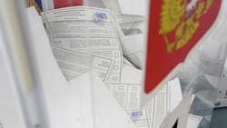 Дистанционное электронное голосование будет доступно в Белгородской области на выборах президента