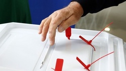 Белгородский социолог дал оценку предстоящим сентябрьским выборам