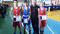 Корочанские боксёры завоевали медали на первенстве области