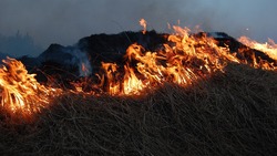 Белгородцы понесут ответственность за поджоги сухой травы и остатков сельхозкультур