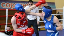 Николай Нестеров пригласил корочанцев на открытый муниципальный турнир по боксу