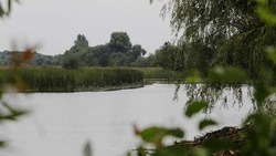 Работы по очистке водоёмов пройдут на пруду в селе Мальцевка и на реке Короча в 2023 году