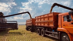 Власти обязали сельхозпредприятия ввести новый режим работы в белгородском приграничье