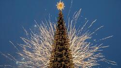 Дед Мороз торжественно зажёг огни на ёлке в Белгороде