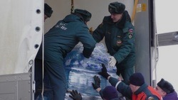 Белгородская область собрала в общей сложности 349 тонн гуманитарного груза за время спецоперации 