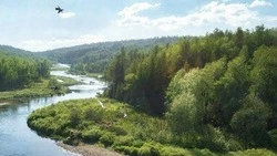 Белгородский ЦЭБ запустил конкурс «ЭКОкомпания»