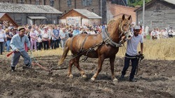 Фестиваль-состязание «Я – русский крестьянин» прошёл в Белгородской области