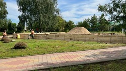 Новая детская площадка появится в селе Анновка Корочанского района