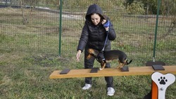 Новое место для собаководов появилось в Корочанском районе