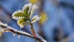 Снег и мороз вернутся на территорию Белгородской области 30 марта 