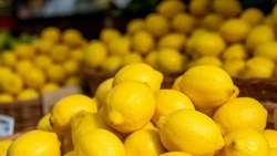 Укрепляем иммунитет. Алексей Жиров напомнил корочанцам, как избежать заболевания