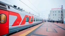 Льготный проезд к дачным участкам станет доступен жителям Белгородской области