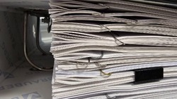 Приказ Министерства имущественных и земельных отношений Белгородской области от 19 мая 2025 г. №198