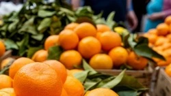 Сельскохозяйственная ярмарка пройдёт в Короче 20 декабря