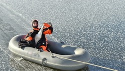 Белгородские спасатели помогли лебедю освободится из ледяного плена