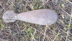 Корочанец нашёл миномётную мину в Дальней Игуменке