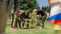 Корочанцы смогут принять участие в акции «Сад памяти»
