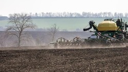 Аграрии Белгородской области завершили весеннюю подкорму озимых культур