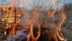 Особый противопожарный режим введён на территории Белгородской области