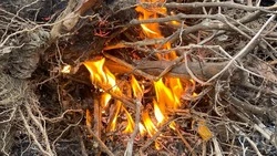 Власти предупреждают корочанцев об изменениях в законодательстве о пожарной безопасности 