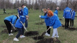  Патриотическая акция «Сад памяти» стартовала в Белгородской области