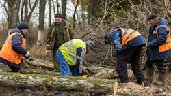 Превентивная мера. В муниципалитете  вырубают сухостой для заготовки дров