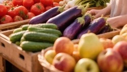 Николай Нестеров поделился подборкой цен на социально значимые продукты в Корочанском округе
