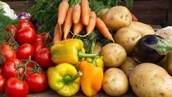 Сельскохозяйственная ярмарка пройдёт в Короче 24 января