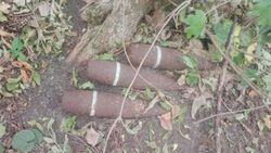 Очевидец обнаружил три артиллерийских снаряда в корочанском лесу