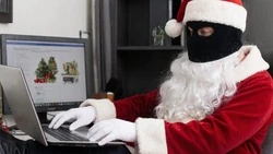 Белгородские полицейские предупредили жителей о предновогодних онлайн-мошенниках