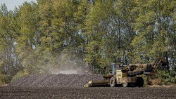Белгородские власти выделят дополнительные средства сельхозпредприятиям 