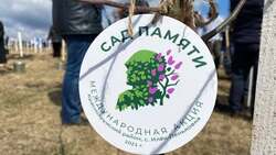 Вячеслав Гладков принял участие в посадке первого в регионе «Сада памяти»