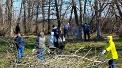 Очередной субботник прошёл в Корочанском округе