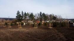 Рабочие приступили к озеленению Васильевского парка в корочанском селе