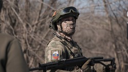 Корочанские военнослужащие смогут оформить электронное удостоверение ветерана боевых действий