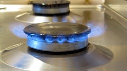 Компания по реализации газа ознакомила граждан с правилами пользования приборами