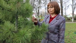 Забота о жителях и селе у руководителя Ломовской территориальной администрации на первом месте