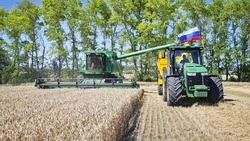 Корочанские аграрии приступили к уборке ранних зерновых культур