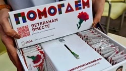 Власти Корочанского округа приняли участие в акции «Красная гвоздика»