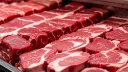 Продовольственная ярмарка пройдёт в Короче 8 ноября