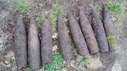 Житель Белгородской области обнаружил 14 боеприпасов времён Великой Отечественной войны