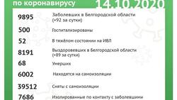 65 аппаратов ИВЛ поступят в Белгородскую область в октябре